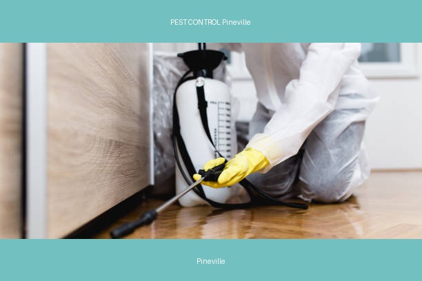 PEST CONTROL Pineville
